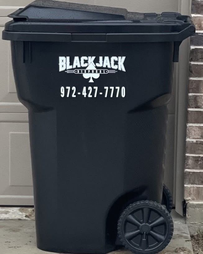 Image title